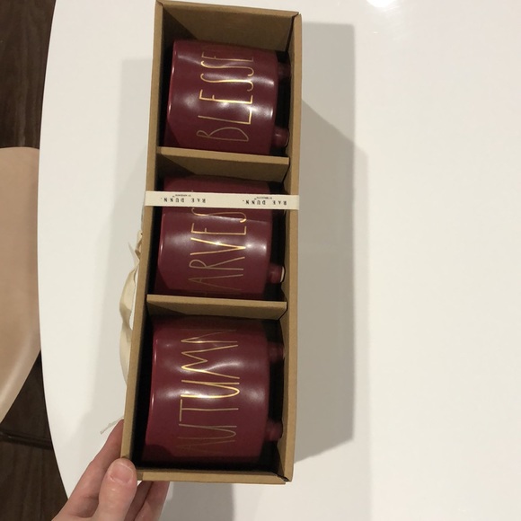 3 piece Rae Dunn Fall footed planters - Picture 6 of 7